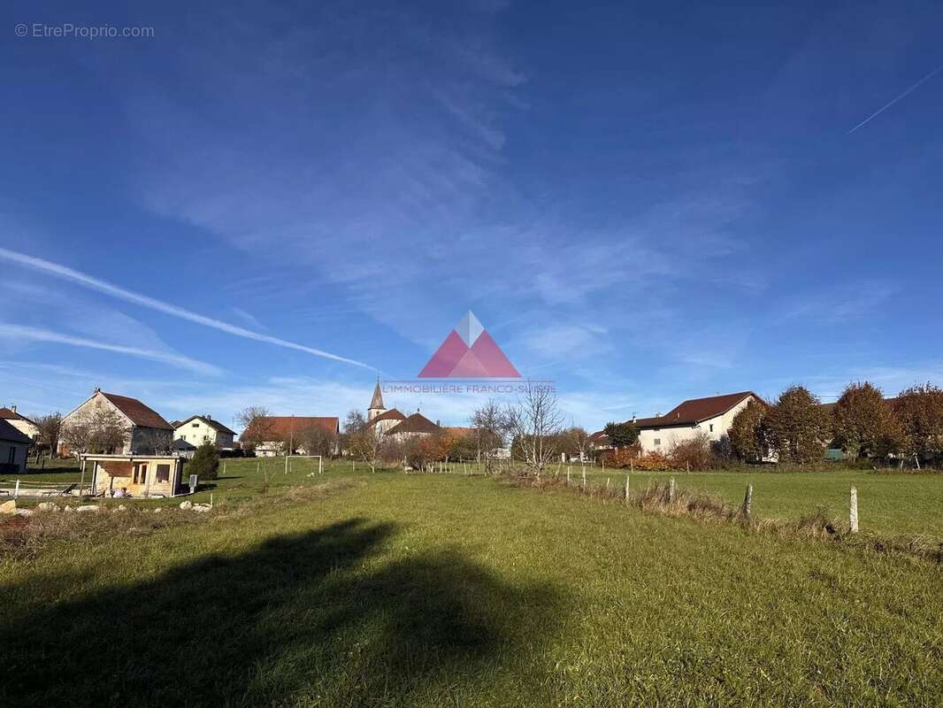 Terrain à MONT-SUR-MONNET