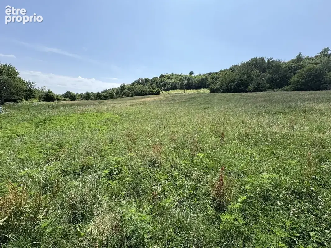 Maison 4 pièces 130 m² à vendre à Meyssies (38440) - photo 3