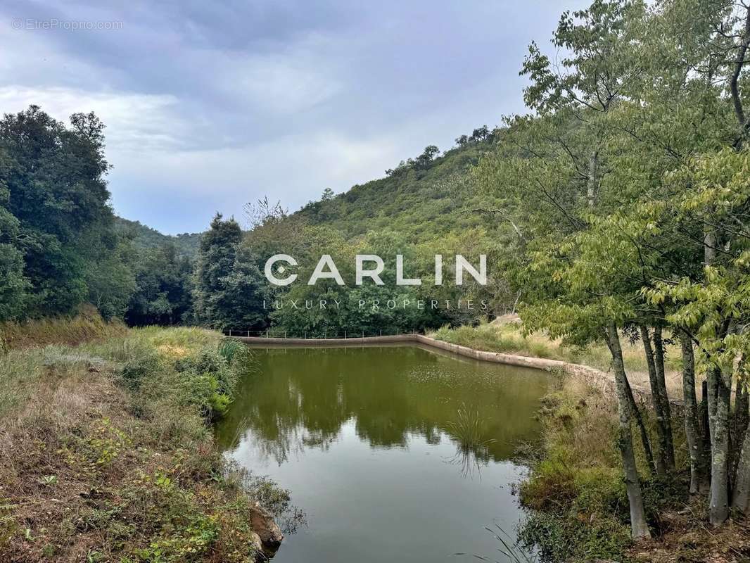 Terrain à PLAN-DE-LA-TOUR