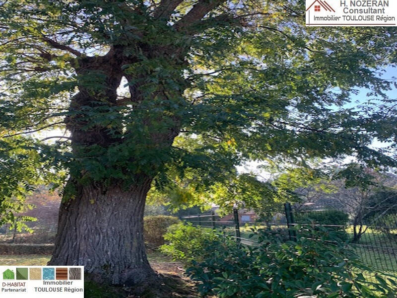 Maison à L&#039;UNION