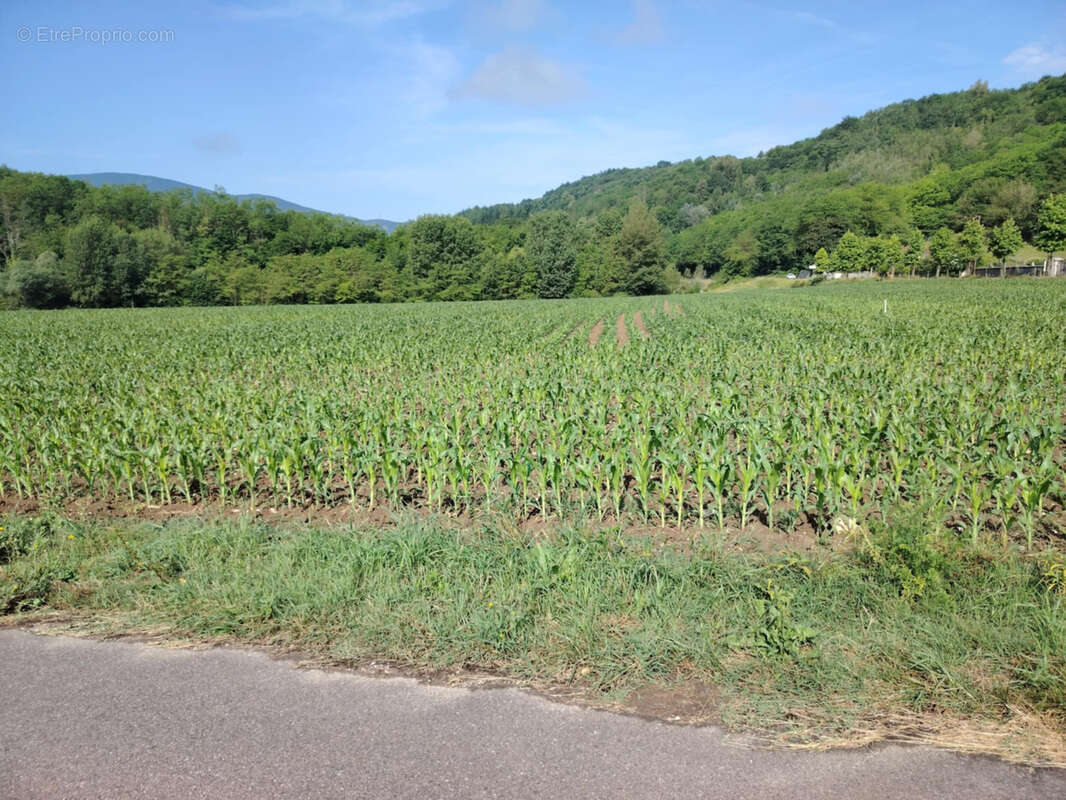 Terrain à AUBERIVES-EN-ROYANS