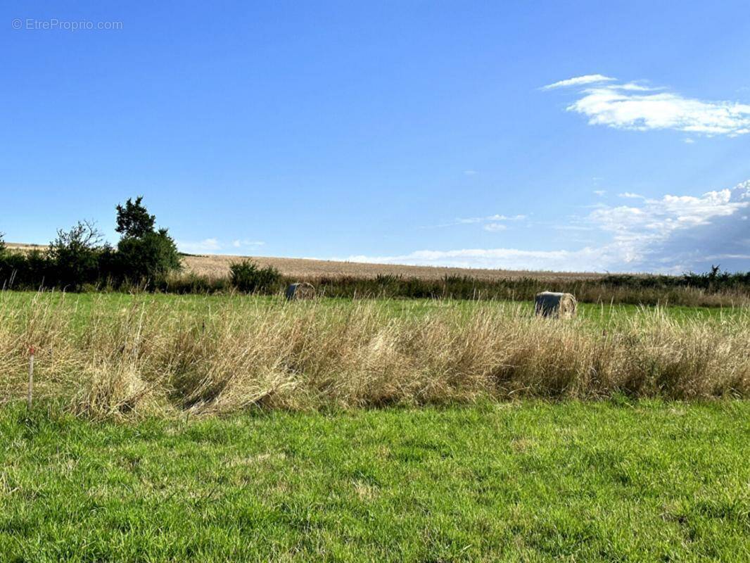 Terrain à SAINT-HILAIRE-LA-CROIX