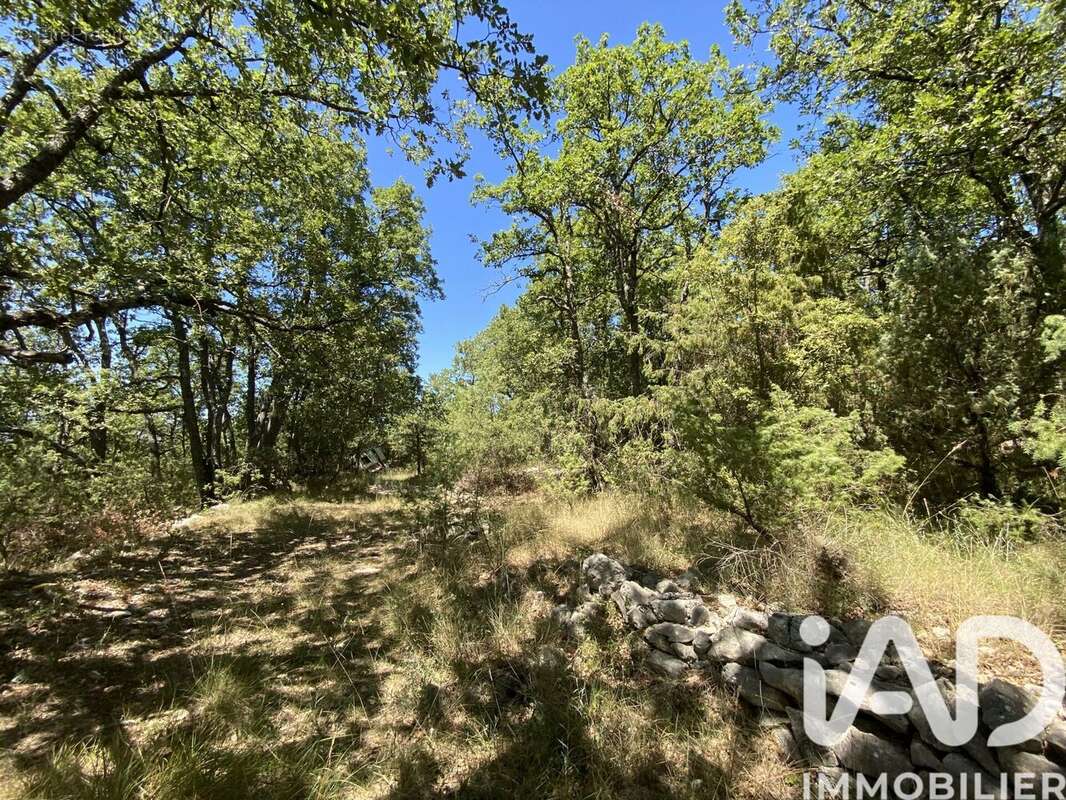 Photo 5 - Terrain à SAINT-VALLIER-DE-THIEY