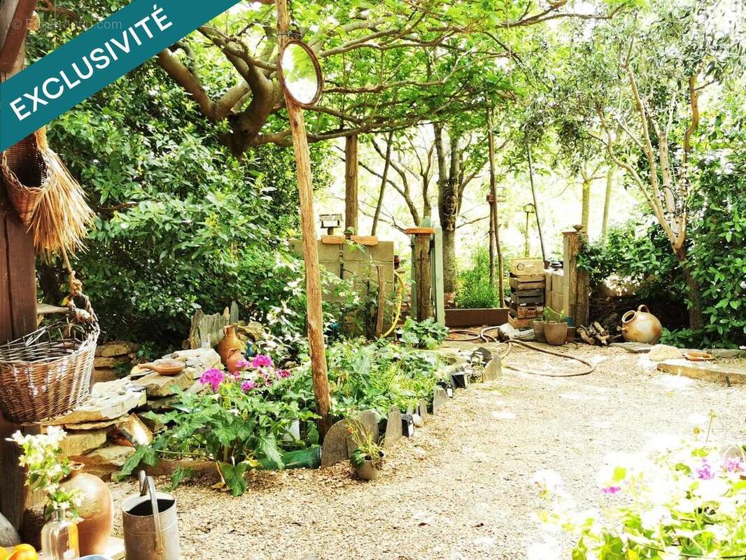 Photo 5 - Maison à FELINES-MINERVOIS