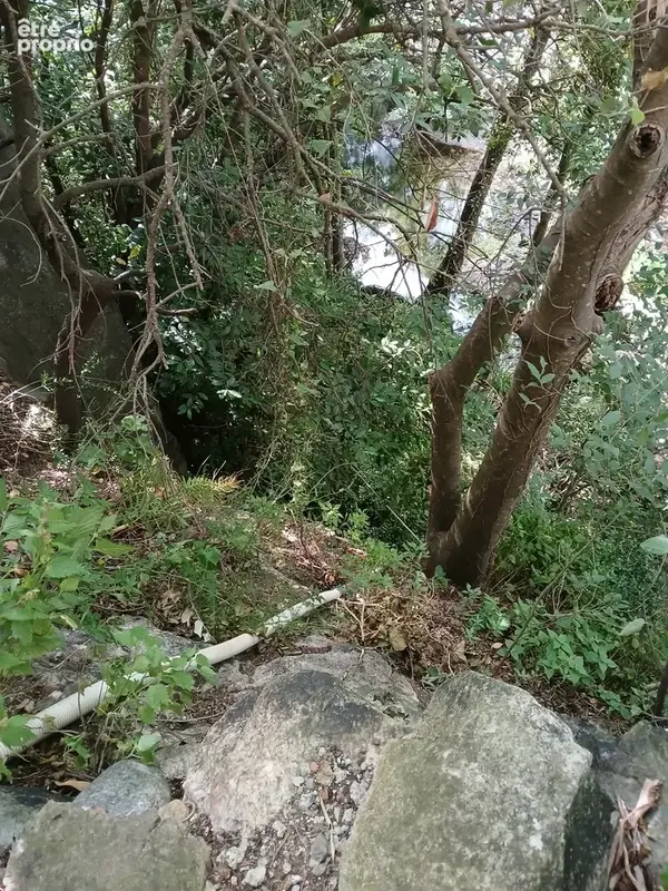 Mas en pierre à Reynes - photo 39