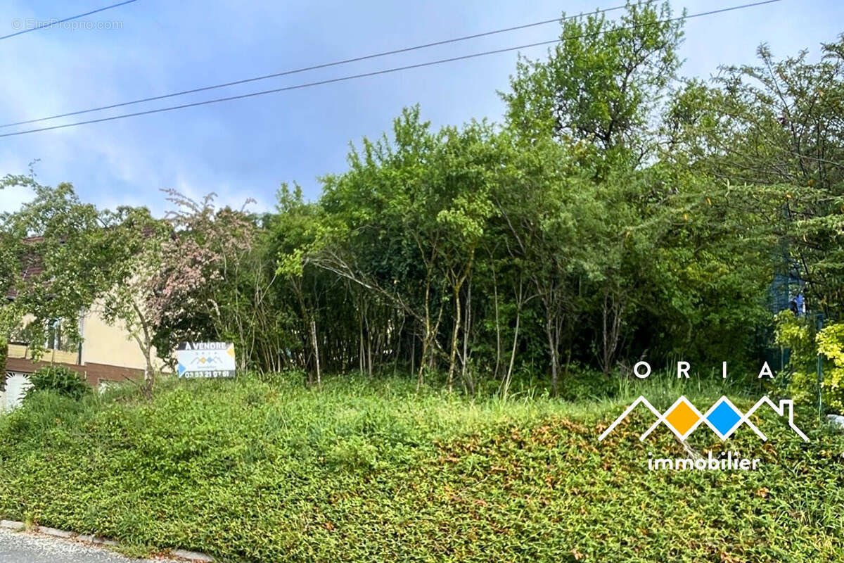 LIVERDUN - Terrain 1018 m2 constructible - photo 3