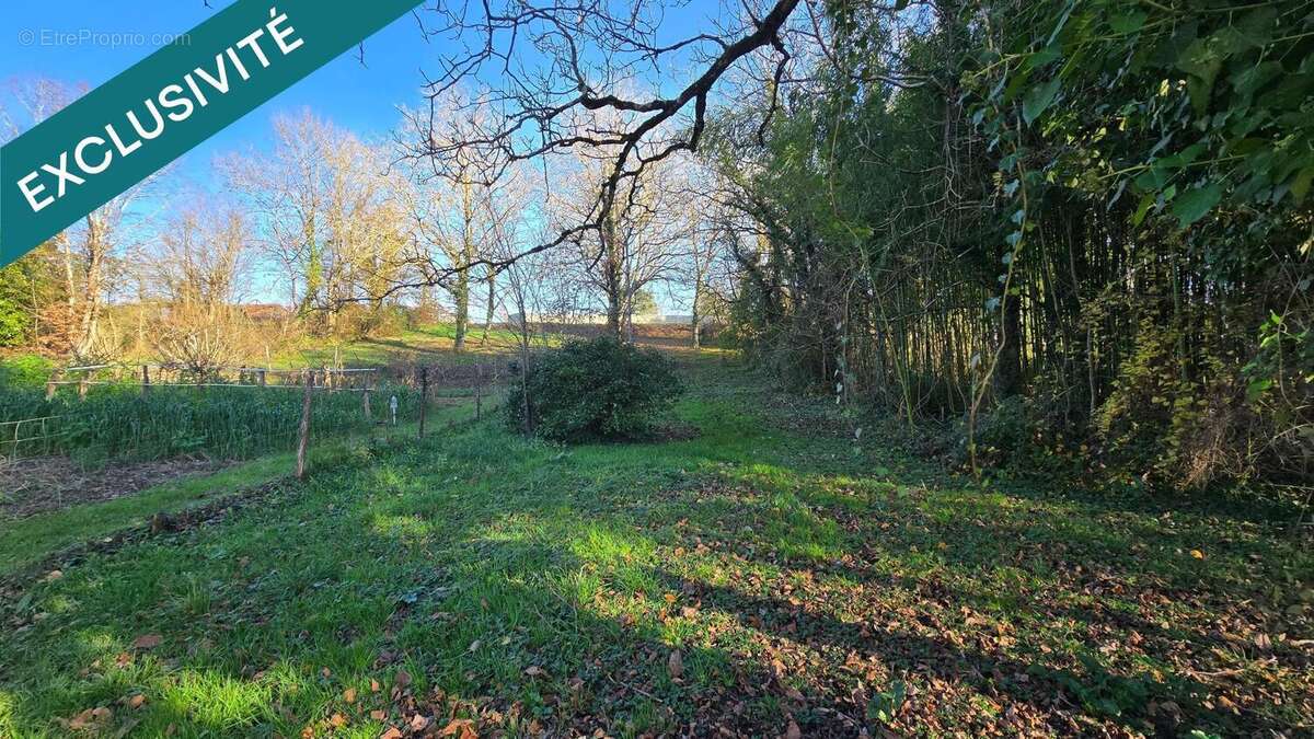 Photo 3 - Terrain à CIVAUX