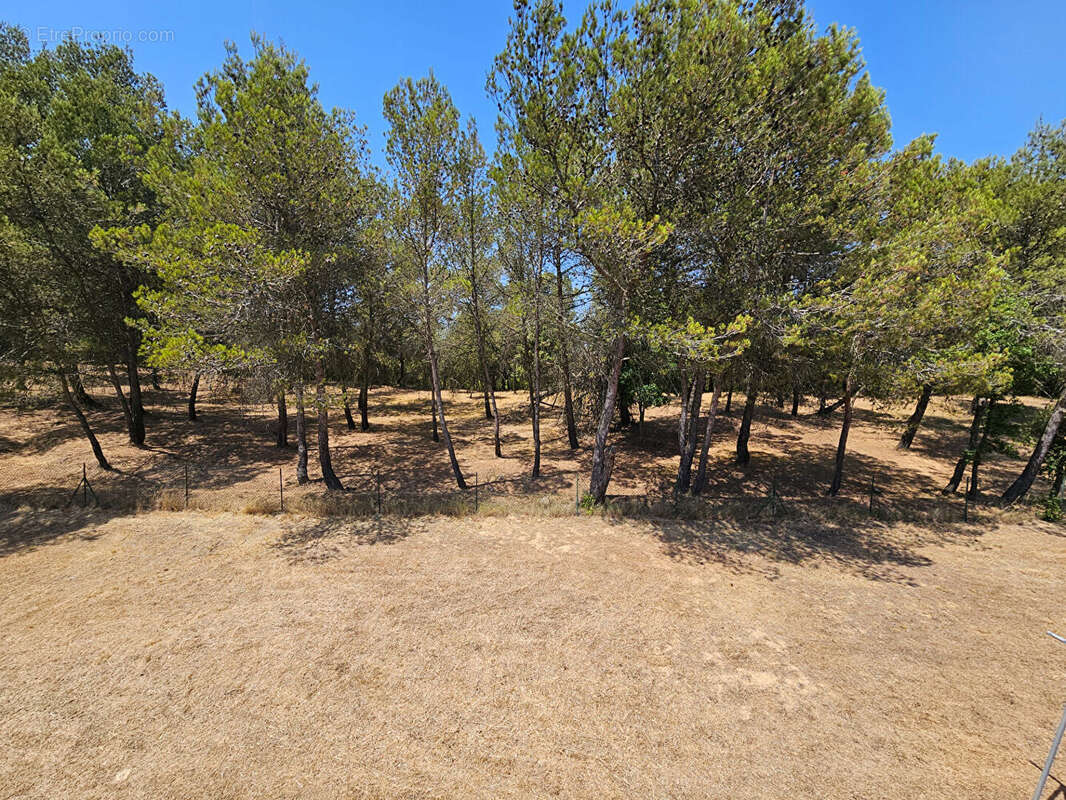 Maison à CARCASSONNE