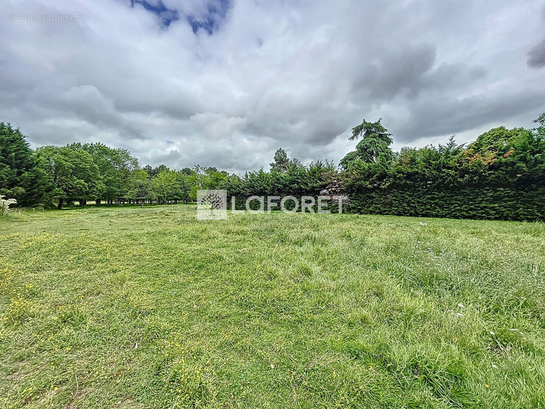 Terrain à VILLEMUR-SUR-TARN