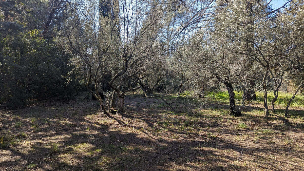 Terrain à LORGUES