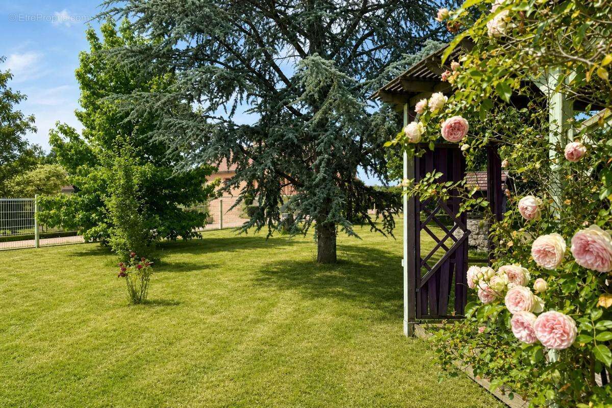 Maison 6 pièces de 187 m² avec appt indép., véranda, garages - photo 25