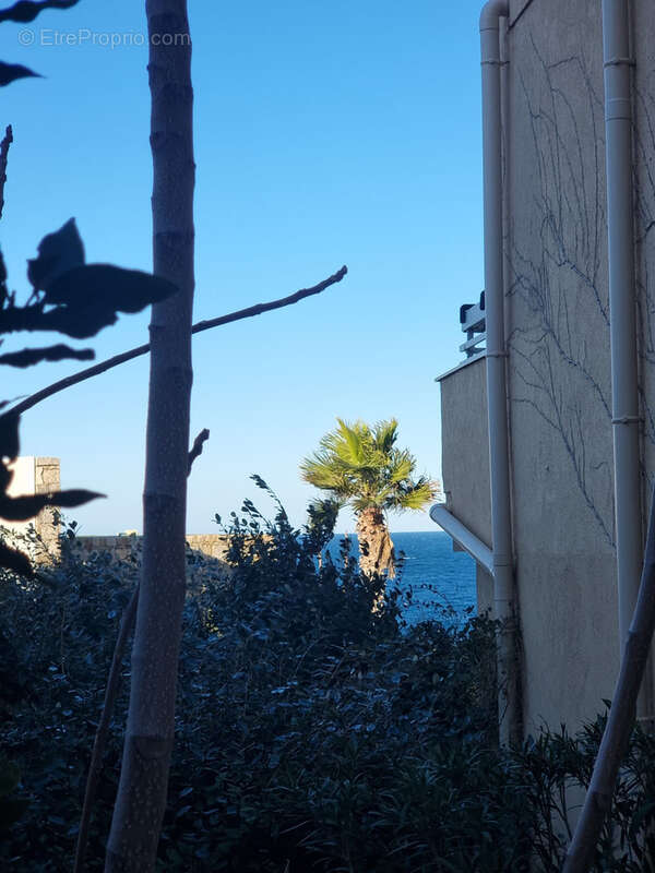 Appartement à CALVI