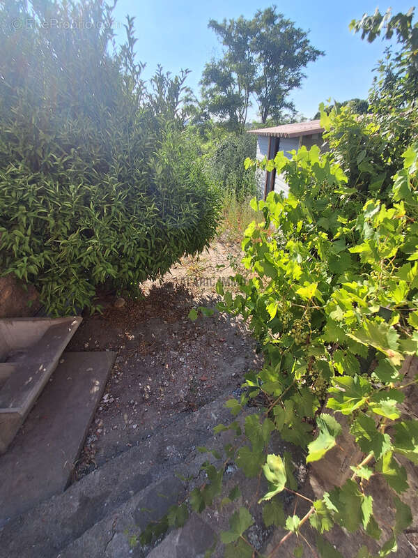 Maison à rénover avec terrasse et jardin - photo 29