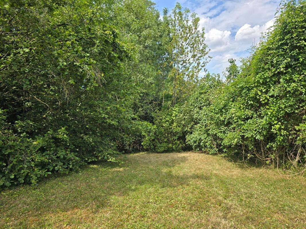 Terrain Palaiseau 853m² - possibilité création maison 140m² environ - photo 8