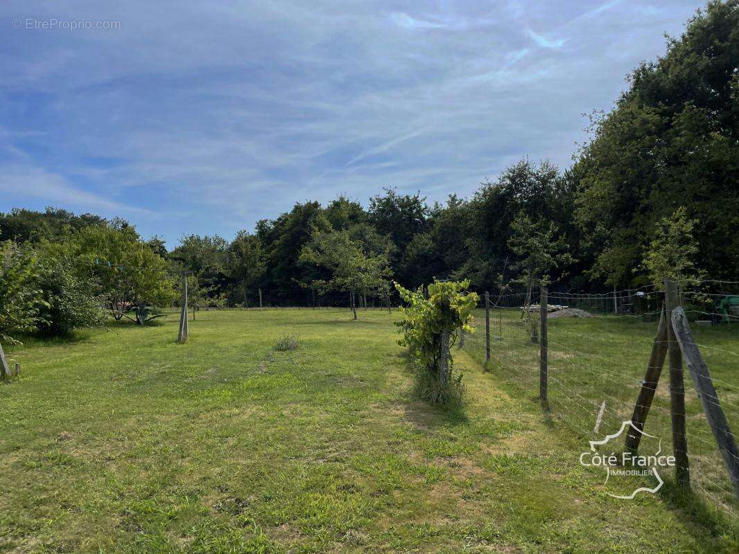 Maison à SAINT-VINCENT-DE-TYROSSE