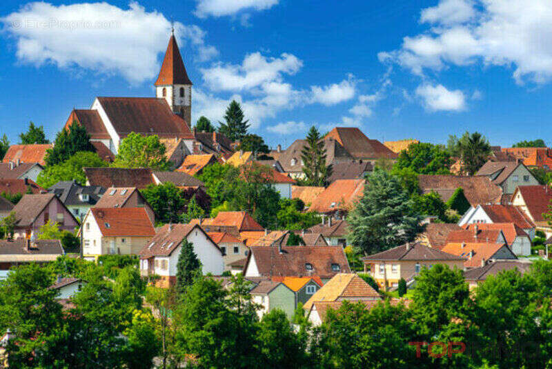 Terrain à ZIMMERSHEIM