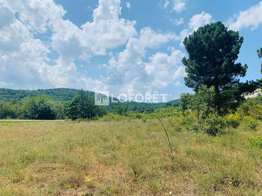 Terrain Sournia 4880 m2 - photo 3
