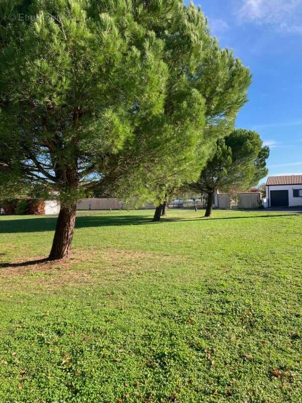 Terrain à SAINT-ROGATIEN