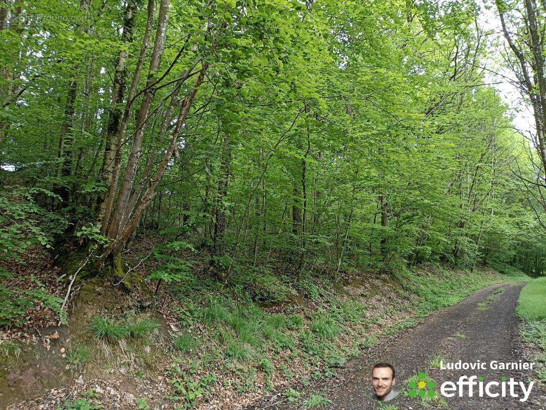 Terrain à JUVIGNY-LE-TERTRE
