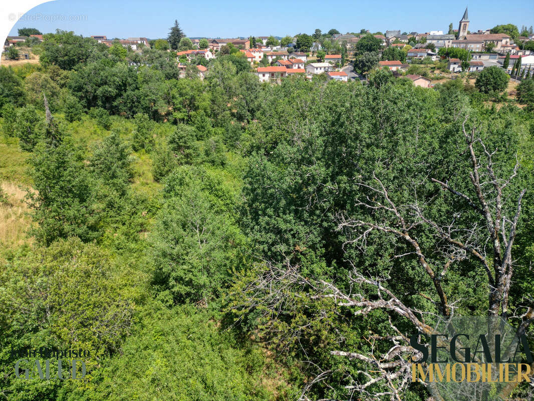 Terrain constructible de 4 526 m2 à Mirandol-Bourgnounac - photo 6