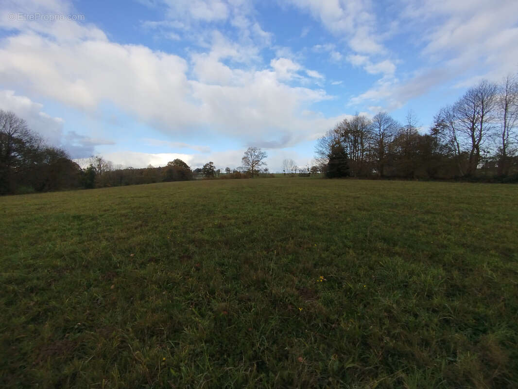 Terrain à SAINT-SAUVEUR-DES-LANDES
