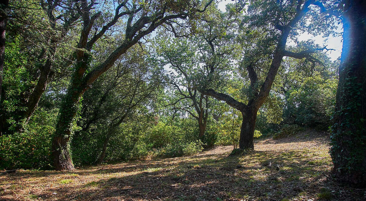 Maison à LA GARDE-FREINET