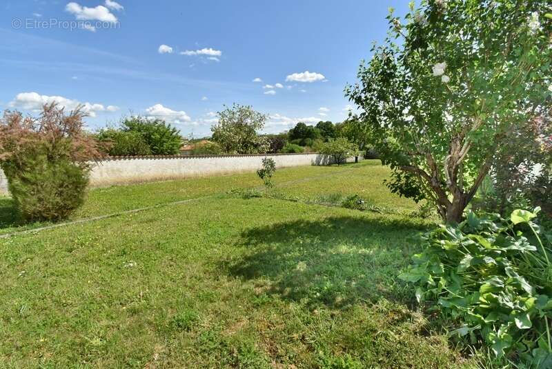 Maison à vendre 6 pièces ANGOULEME (16) maison 3 chambres + Studio et piscine sur terrain de 1150 m2 - photo 7