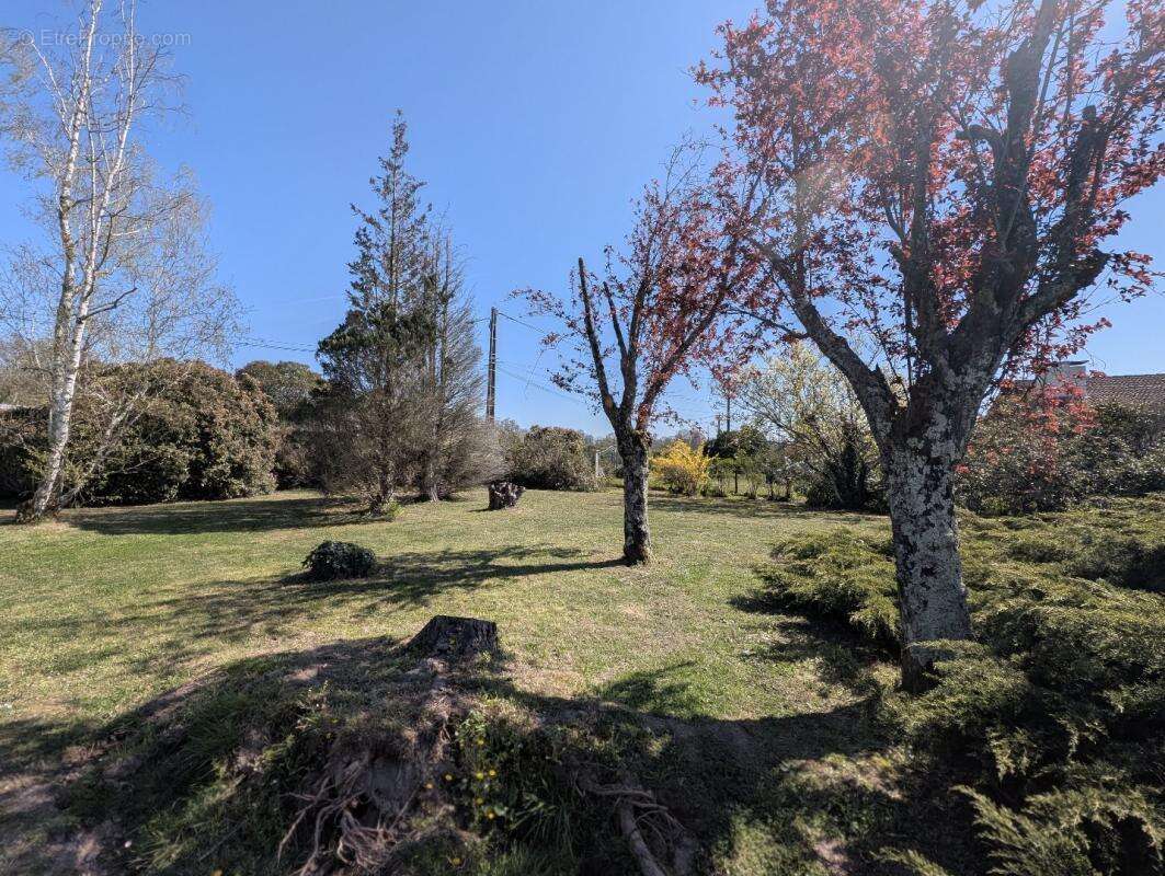 Maison à SAINT-SULPICE-ET-CAMEYRAC