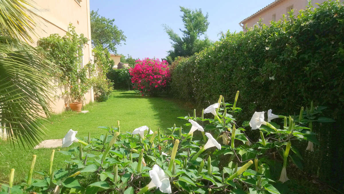 Autre à SAINT-RAPHAEL