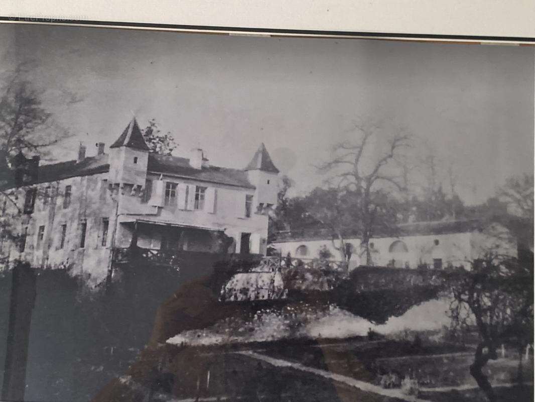 Derniers vestiges du Château du Marquis d’Andiran – Un domaine d’exception au cœur de la nature - photo 4