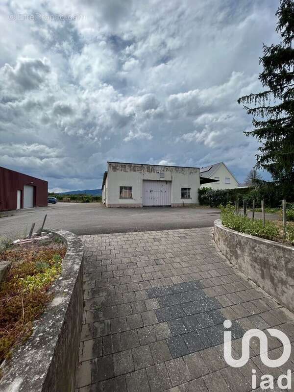 Photo 6 - Maison à INGERSHEIM