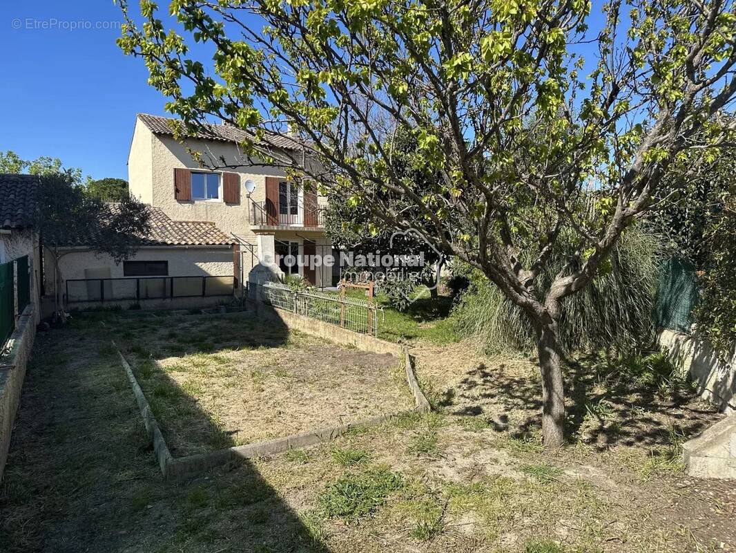 Maison à SAINT-MARTIN-DE-CRAU