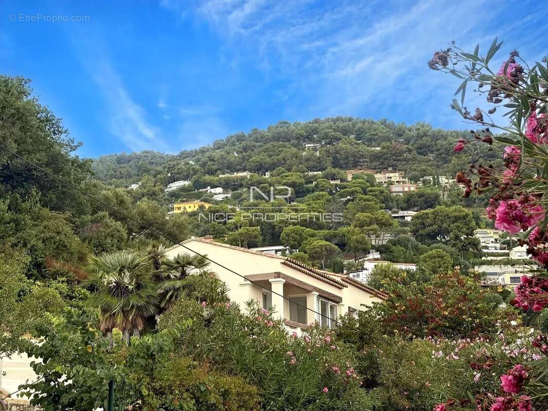 Roquebrune Cap Martin, Villa rénovée avec piscine et vue mer, dans cadre privilégié - photo 5