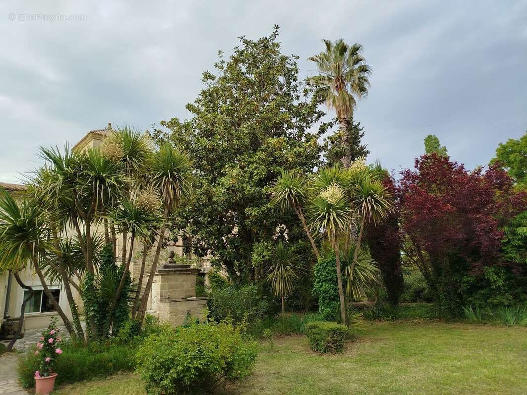 915 m² à Uzes  - photo 8
