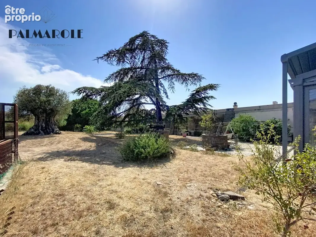 Maison 6 pièces 328 m² à vendre à Pia (66380) - photo 7