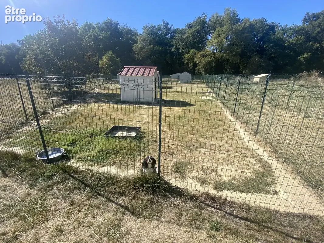 Corps de ferme gascon avec installations d’élevage - photo 16