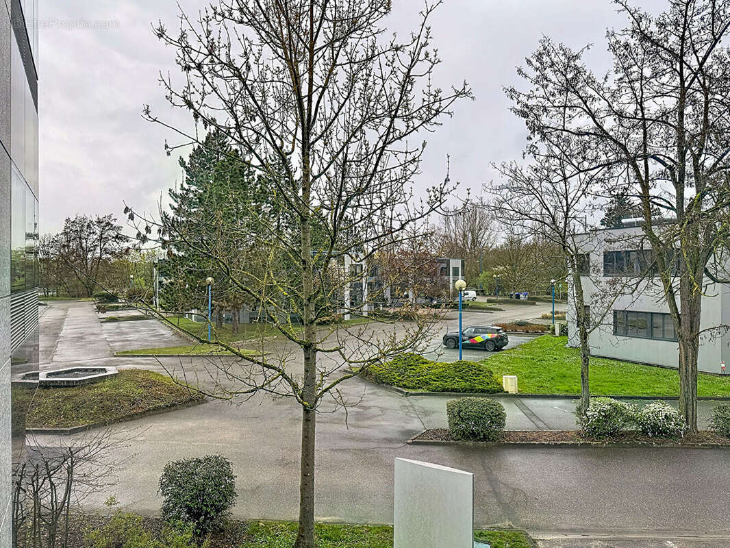 Commerce à ILLKIRCH-GRAFFENSTADEN