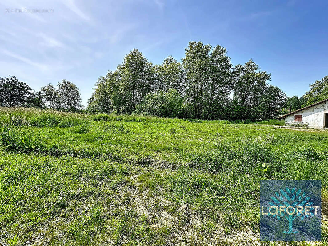 Terrain à SAUGNAC-ET-CAMBRAN