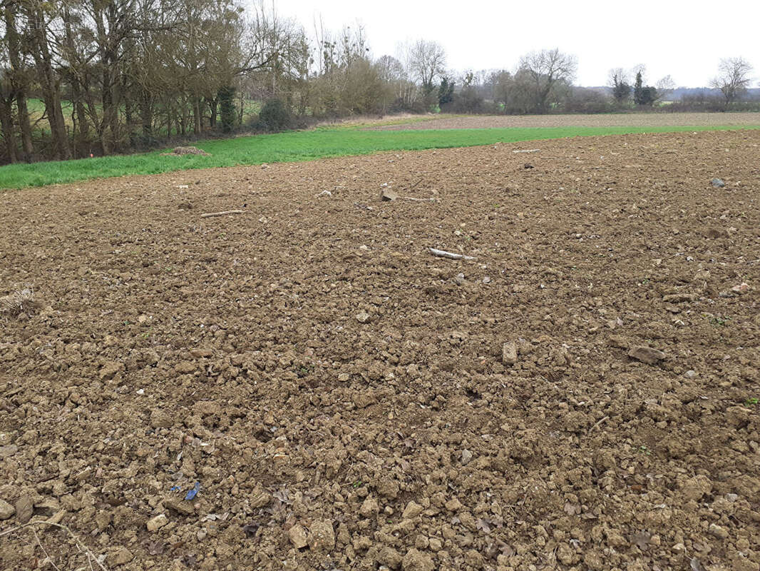 Terrain à SAINT-CHRISTOPHE-LA-COUPERIE