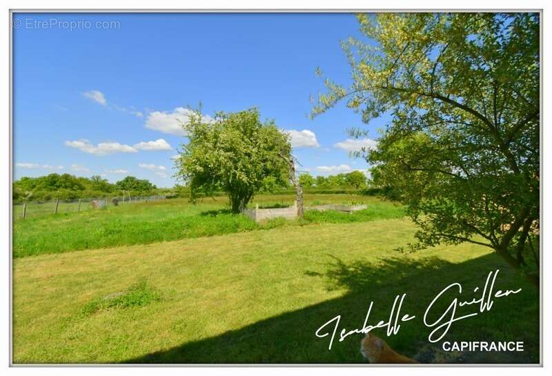 Maison de caractère à vendre 7 pièces MAISONNAIS (18) - photo 3