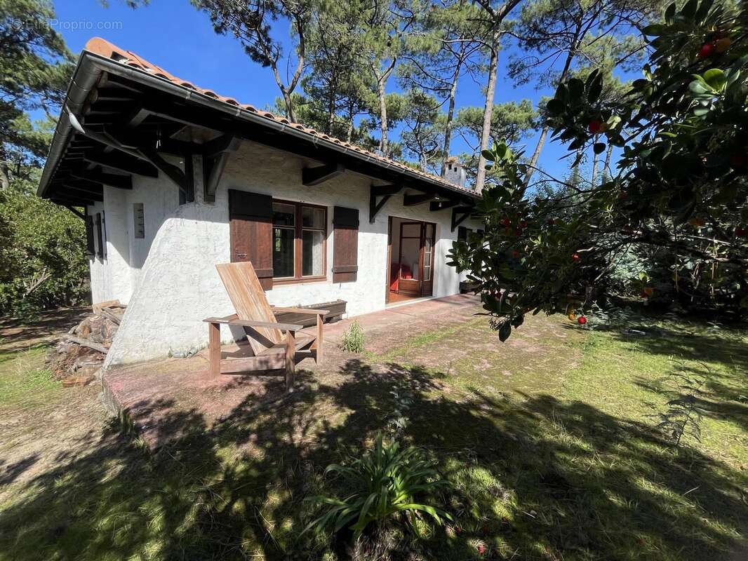 Maison à LE BOUSCAT