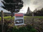 Terrain à SAINT-DOLAY