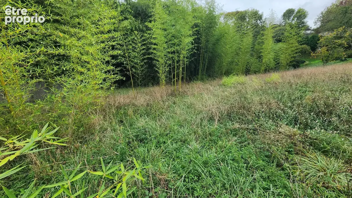 Exclusivité haut de bosdarros, a vendre terrain 1200 m² - photo 2