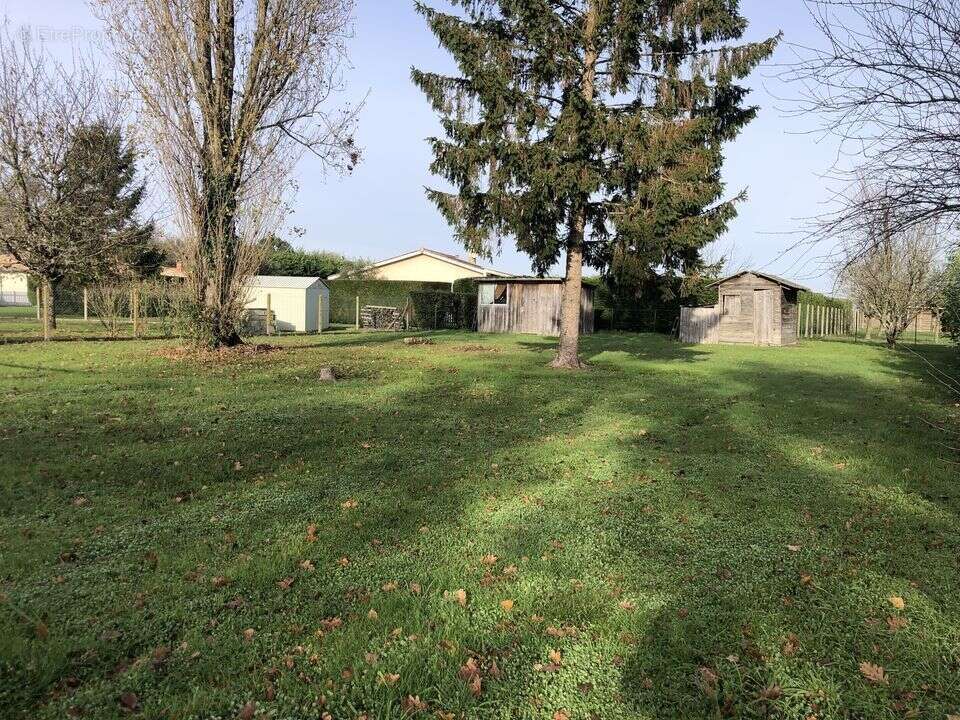 TERRAIN CONSTRUCTIBLE 771 M2 NON VIABILISE BORNE  - Terrain à CISSAC-MEDOC