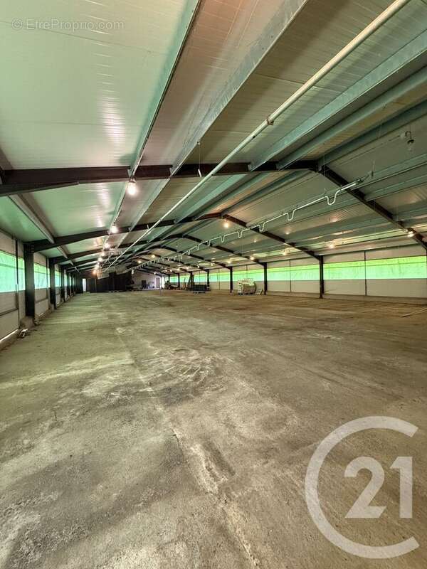 Terrain à BRESSOLLES