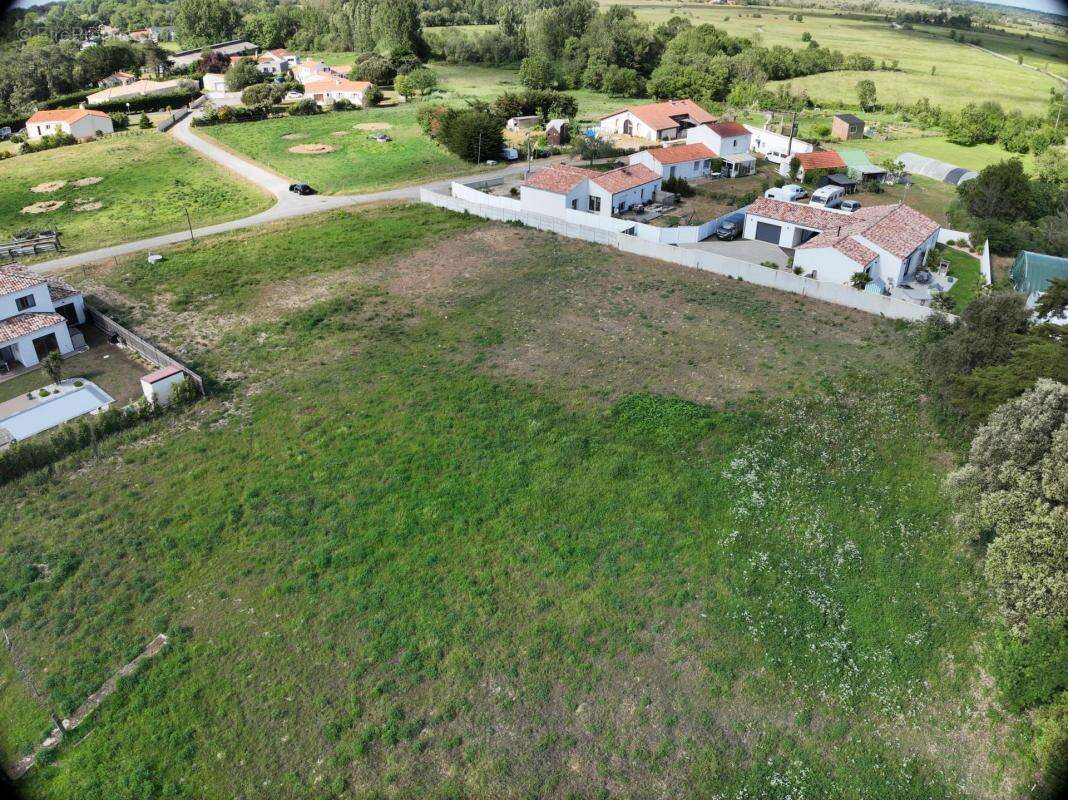 Terrain à SAINT-HILAIRE-DE-RIEZ