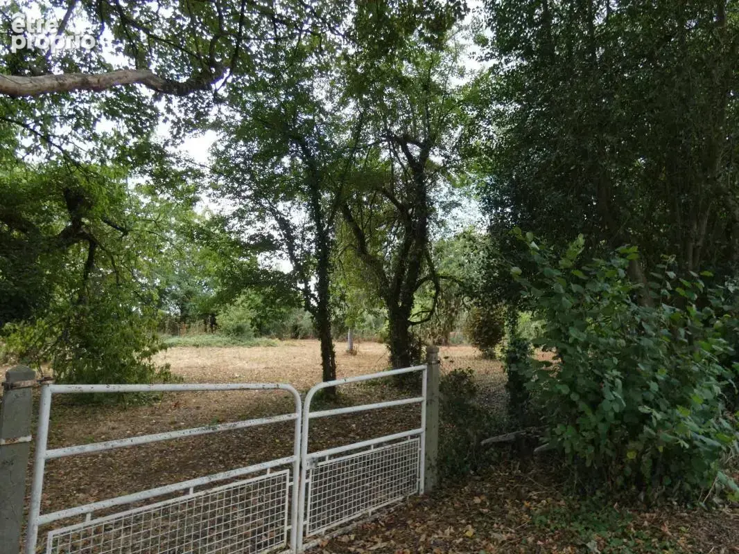 Terrain constructible 2613m2 à Pacé (9km d'Alençon) - photo 4