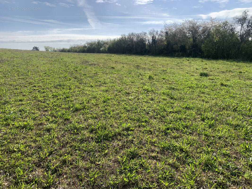 Terrain à MONTOIRE-SUR-LE-LOIR