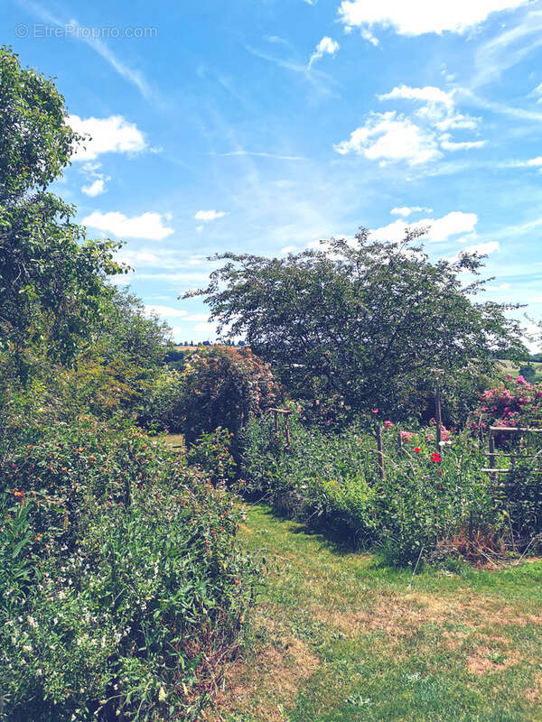 Maison d'artiste avec jardin botanique, source - Terrain 1,6 hectare - photo 19