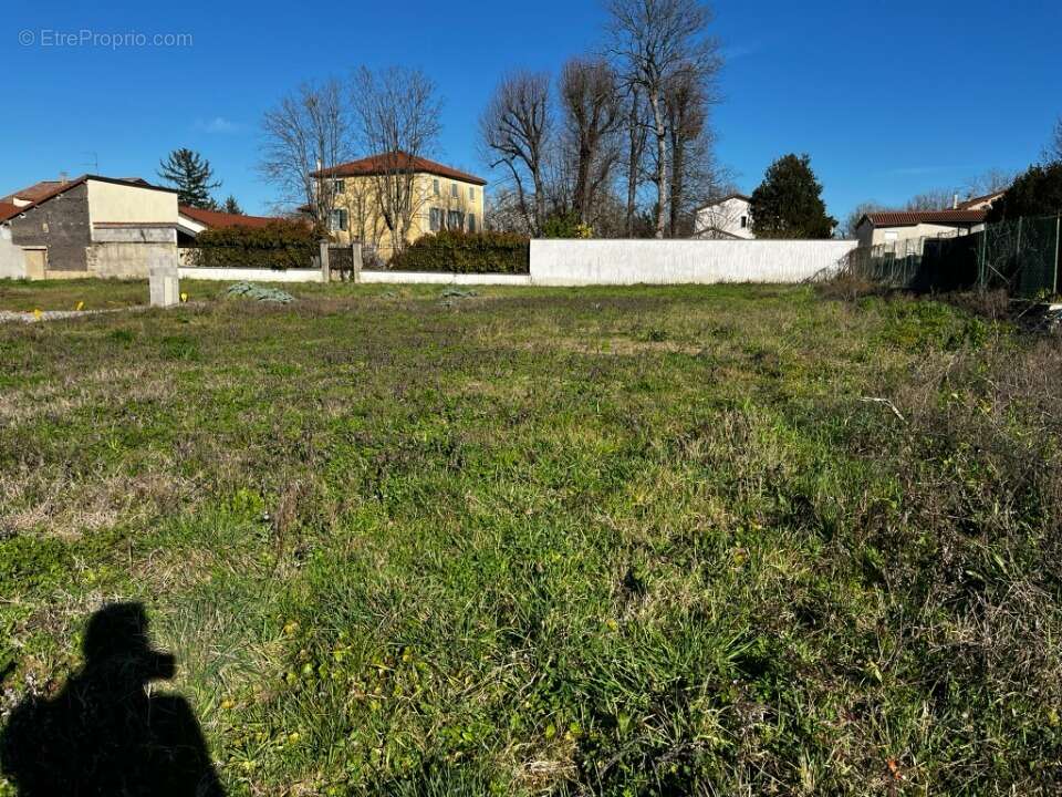 Terrain 370 m² à Solaize  - photo 2
